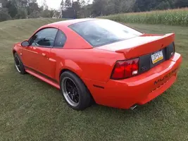 mustang mach.webp