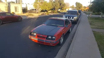 Redfox 2.webp
