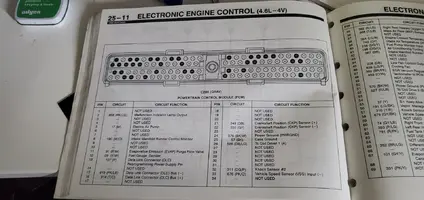 119969224_458943178329883_4479833737661208916_n.webp