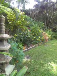 KIMG0498.webp