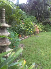 KIMG0501.webp