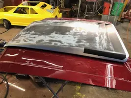 Painted Hood Scoop.webp