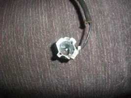 DSCF3780.webp