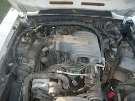 DSCF3779.webp