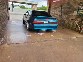 WASH2.webp
