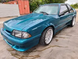 WASH3.webp