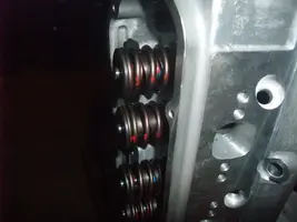 DSCF3797.webp