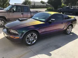 stang3.webp