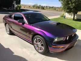 stang4.webp
