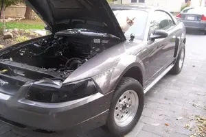 100_4428.webp