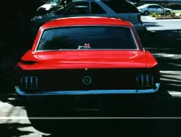 mustang2.webp