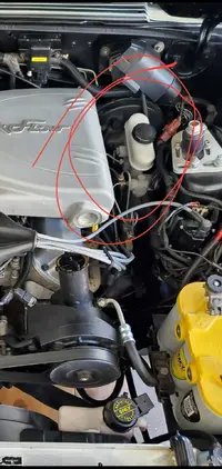 Screenshot_20201127-152527_Gallery.webp