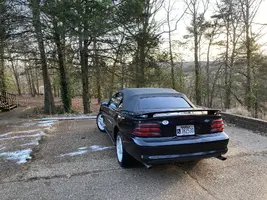 95E280D4-08D9-4C42-BDCE-38ADE46DDB06.webp