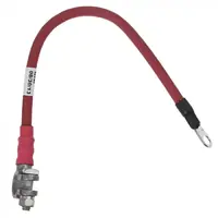 Positive cable.webp