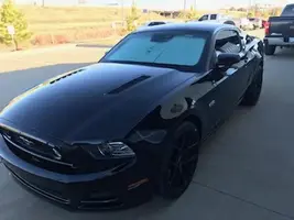 Mustang.webp
