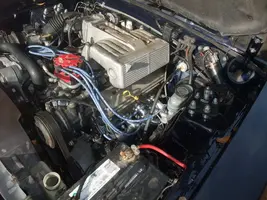DSCF3837.webp