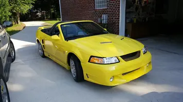 cobra.webp