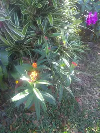 KIMG0657.webp