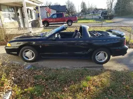 Mustang cleaned up.webp