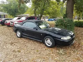 Mustang for sale.webp