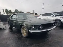 mustang-1.webp