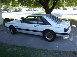 DSCF03881.webp