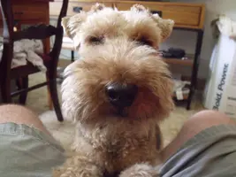 DSCF0540.webp