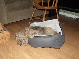 DSCF0195.webp