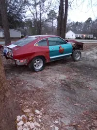 IMG_20210121_071127.webp