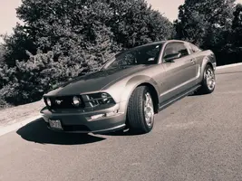 mustang2.webp