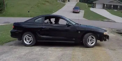 mustang.webp
