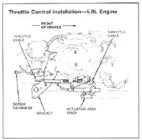 TCI.webp