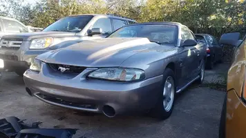 mustang.jpg mustang.jpg