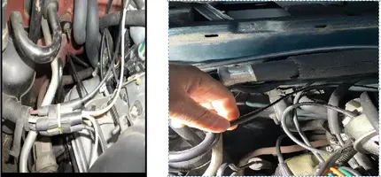 Hose coming from the Plenum tree.webp