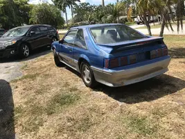 375A2FD3-3B19-4C08-8CC7-8380929FCA1E.jpeg 375A2FD3-3B19-4C08-8CC7-8380929FCA1E.jpeg