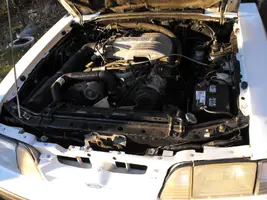 DSCF0001.webp
