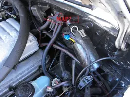 DSCF0003.webp