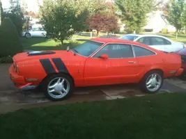 stang_outside_1.webp