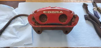 20210203_110416.webp