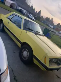 167944580_10160138174588539_7214696581858628996_n.webp