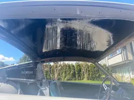 POR-15 On Roof Underside.webp