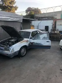 drivers side with hood open.webp