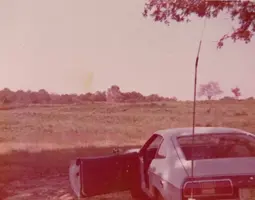 Mustang II.webp
