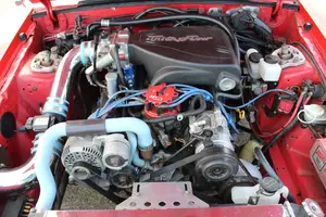 AFFAC9D3-D54E-4BED-970F-A9AB73D0E4DD.webp
