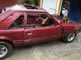 Right Side Body.webp