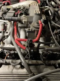 mustang engine-3.webp