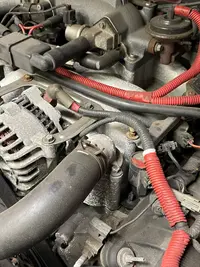mustang engine-4.webp