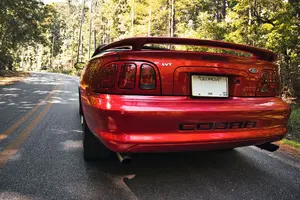 Cobra Butt Small.webp