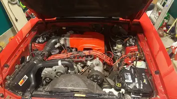 Mustang Engine Bay.webp