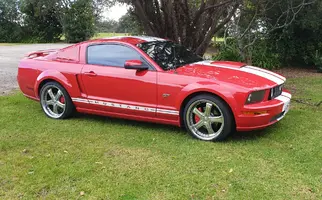 Mustang at Waiau Pa.webp
